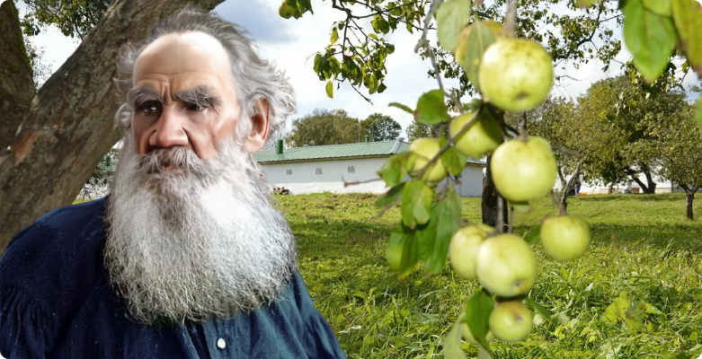 Cтаринный яблоневый сад будет восстановлен в «Ясной Поляне»