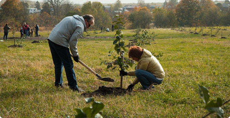 В Ясной Поляне восстановят яблоневый сад у Большого пруда