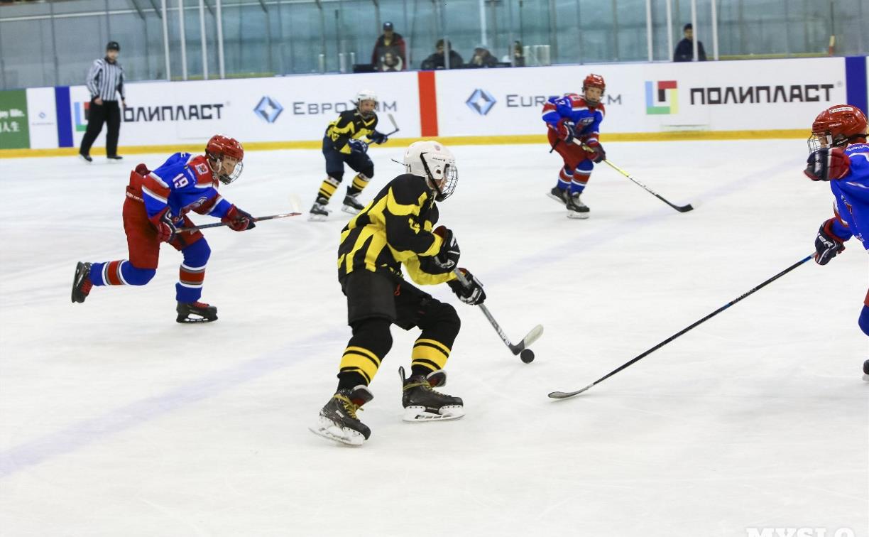 Сформирована команда Национальной молодежной хоккейной лиги в Новомосковске 